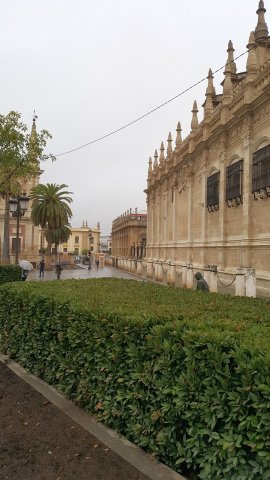 s156 alcazar